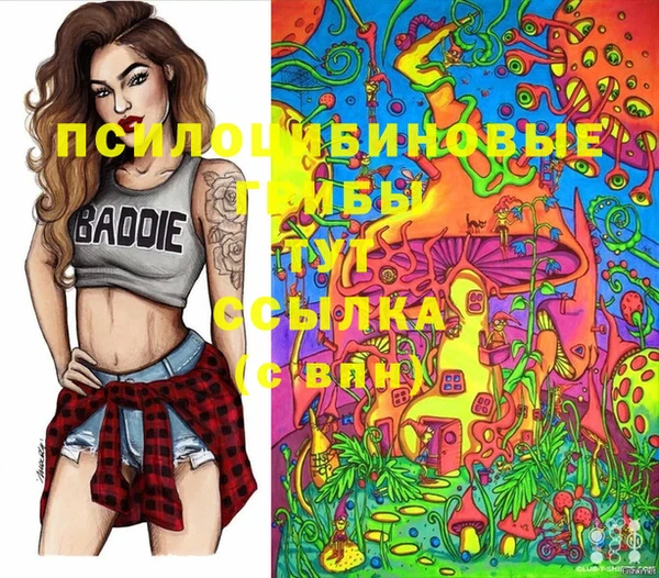 меф Арсеньев