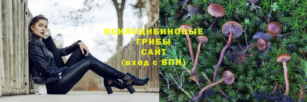 меф Арсеньев
